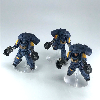 Space Wolves Primaris Inceptors - Warhammer 40K Games Workshop Painted C3546