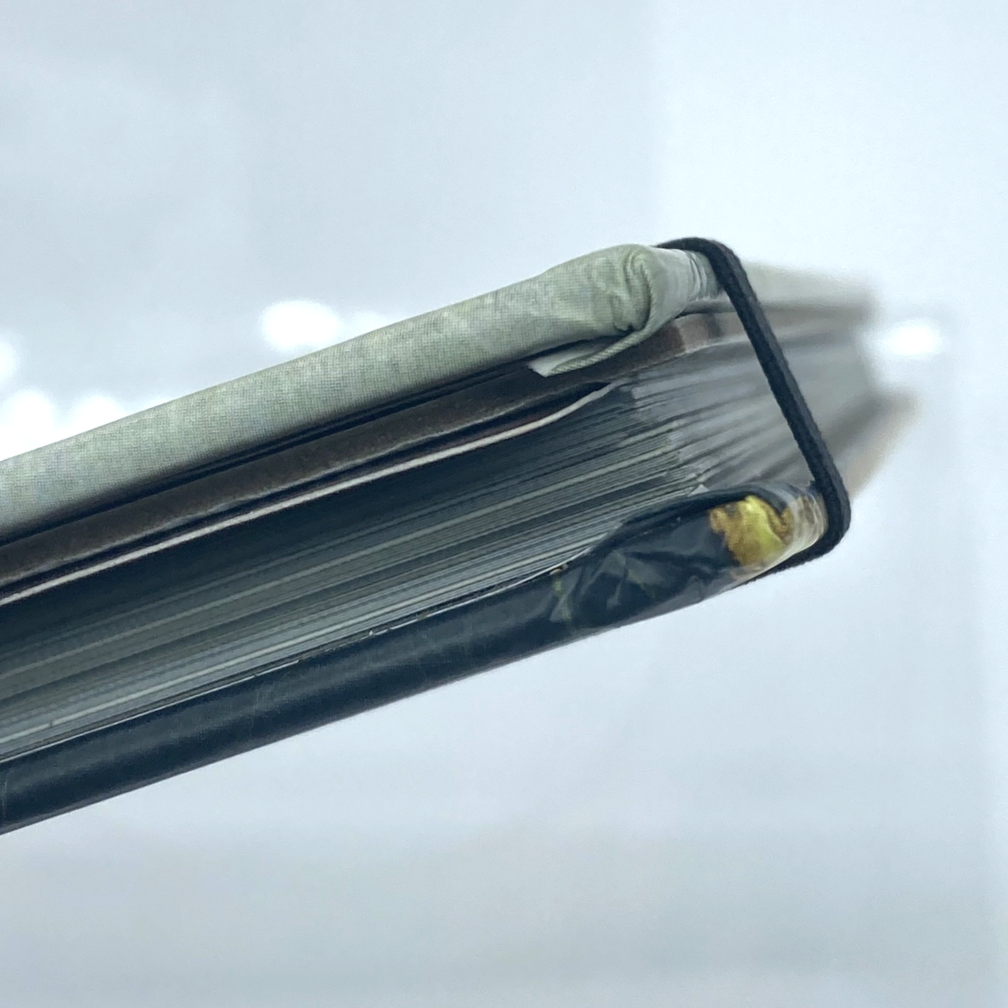 0c95056d-6007-440a-9b29-8cb81d0f1d88