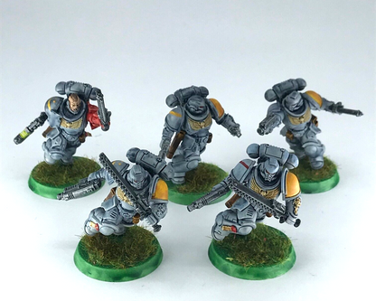 Primaris Assault Intercessors Space Wolves - Warhammer 40K Painted C4847