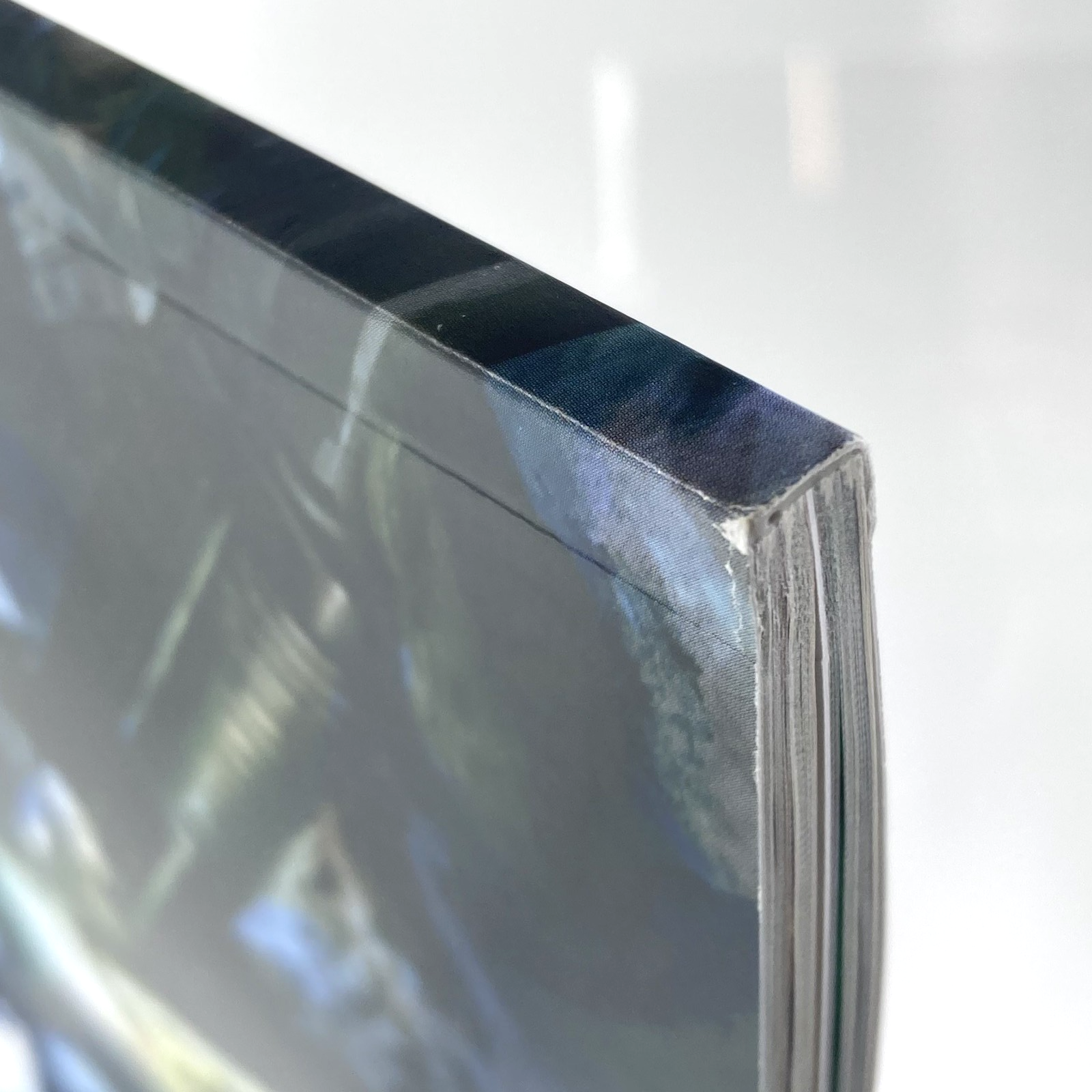 10096833-3f0b-443a-813b-e808ff529297