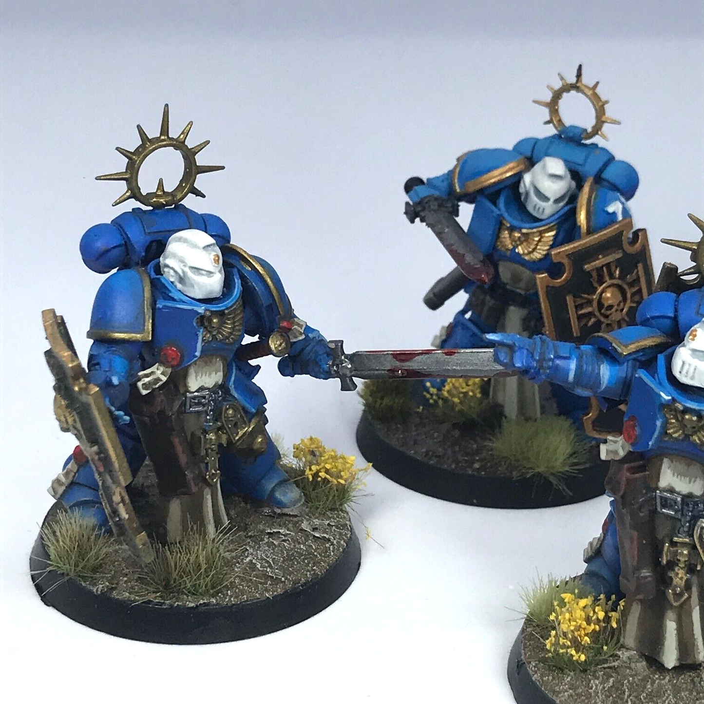 Bladeguard Veterans Space Marines - Painted - Warhammer 40K C3281