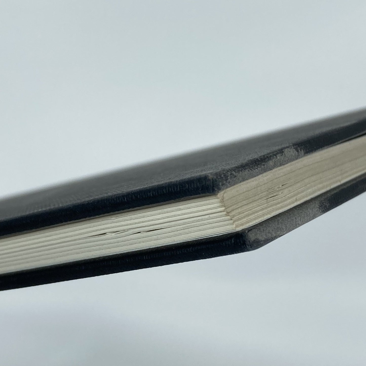 11d50818-3886-4855-90d7-e46e9f9c2281