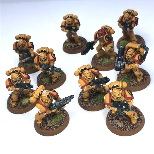 Imperial Fists Tactical Squad Space Marines - Warhammer 40K Painted C4755