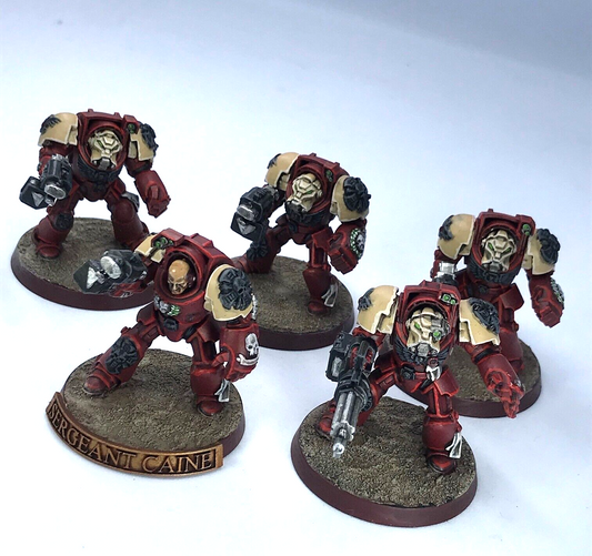 Blood Angels Terminator Squad Space Marines - Painted - Warhammer 40K C3811