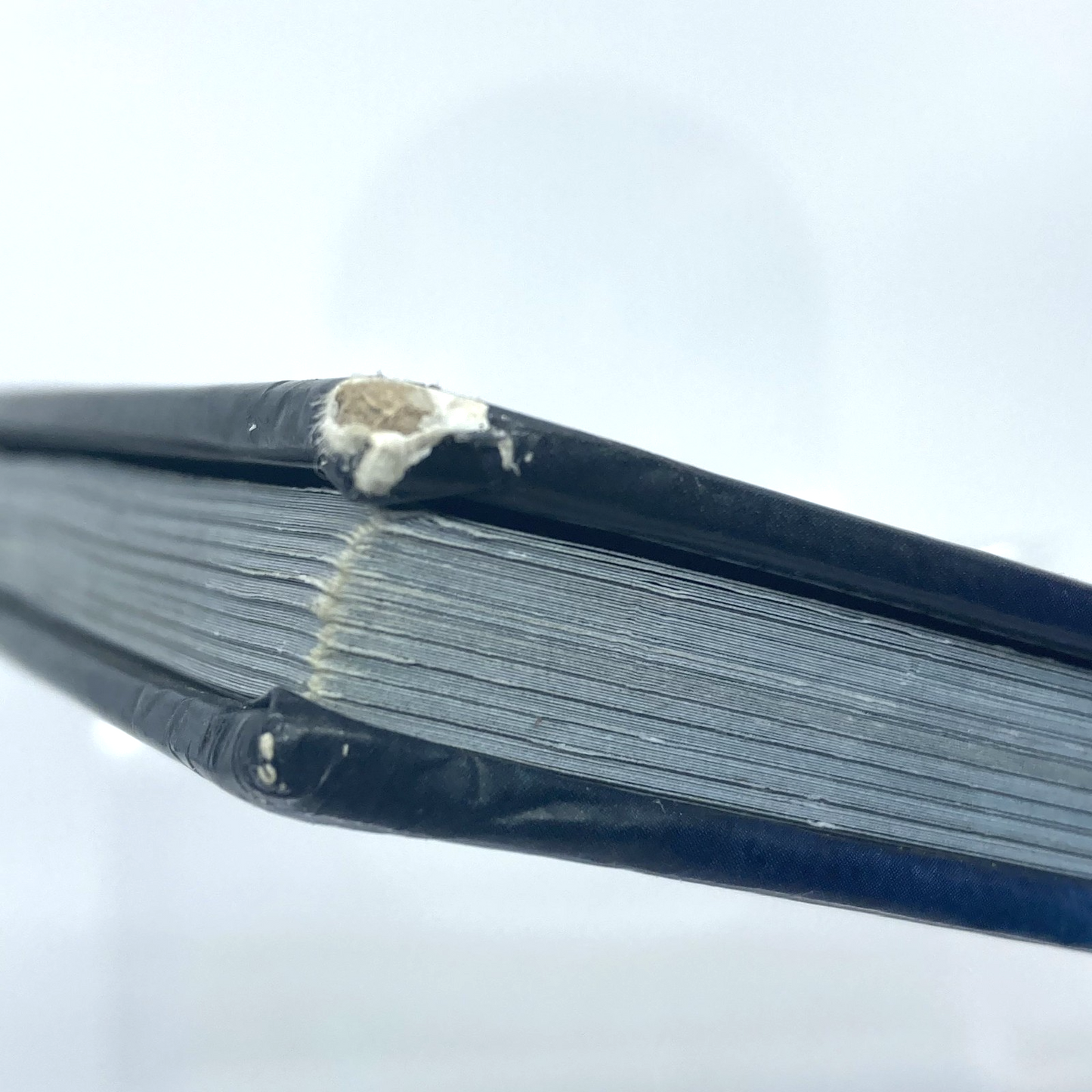 14fd081f-8d1b-4606-aef2-3edaa282200c