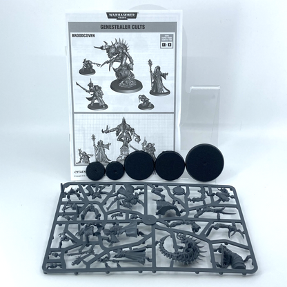 1751e893-7d1c-410e-bc06-0f0824ce9521