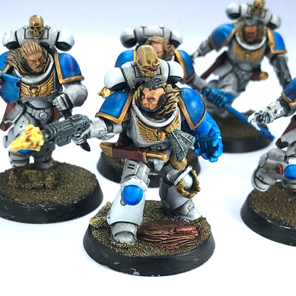 Assault Intercessors Space Wolves Space Marines - Painted - Warhammer 40K C3007