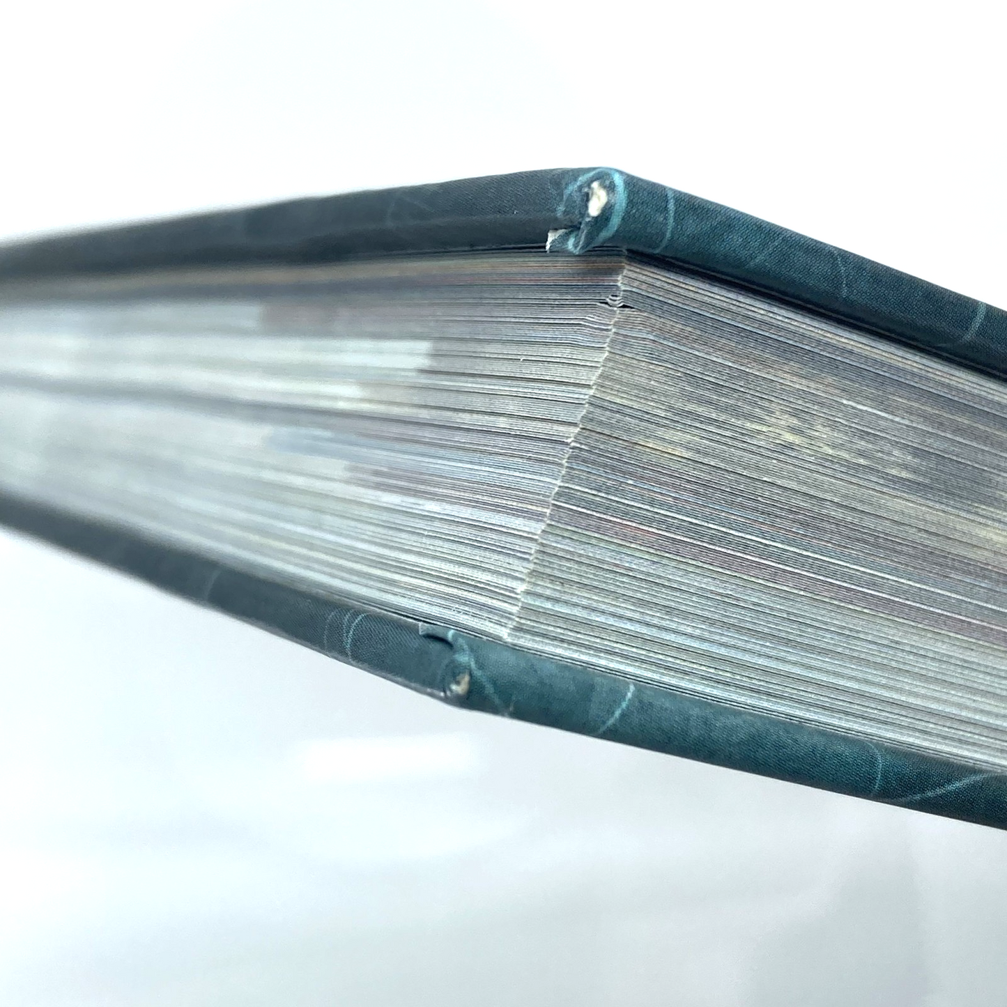 1ca12353-5fb3-4256-8aae-2cf9c292b8a8