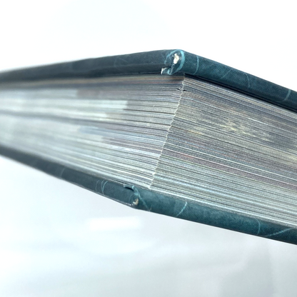 1ca12353-5fb3-4256-8aae-2cf9c292b8a8