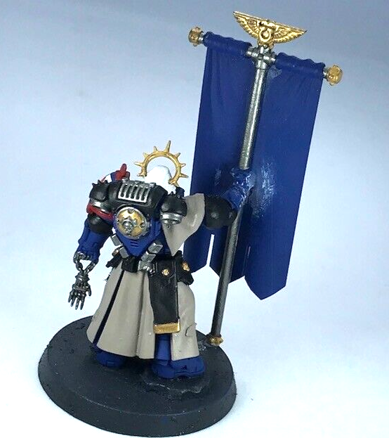 Primaris Bladeguard Ancient Space Marines - Painted - Warhammer 40K GW C883