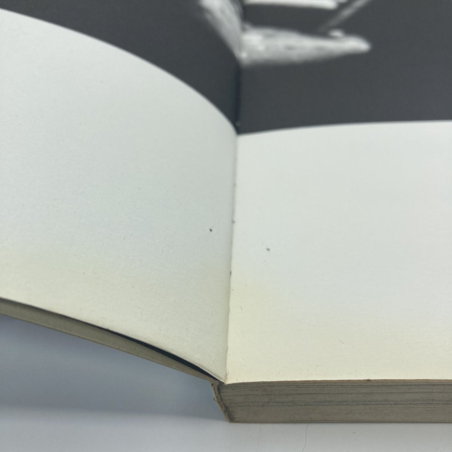 1e7c0696-1f63-4426-b2e8-0ee00227eccd