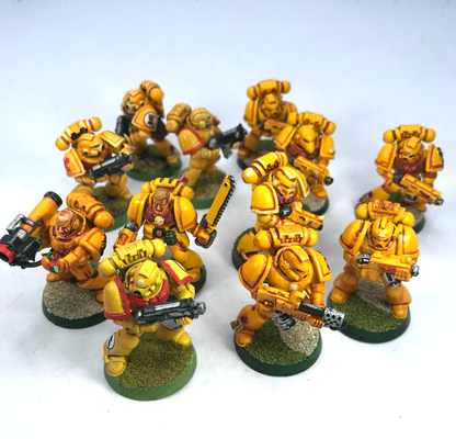 Classic Imperial Fist Tactical Squad Space Marines - Painted Warhammer 40K C3439