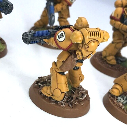 Imperial Fists Primaris Hellblasters Space Marines - Warhammer 40K Painted C4758