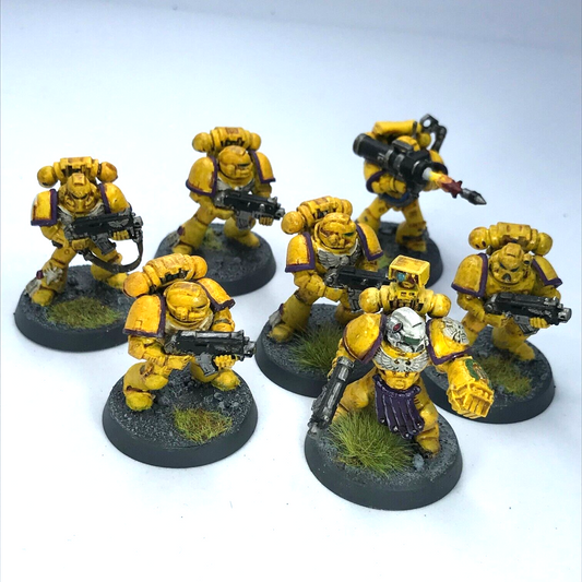 Imperial Fists Tactical Squad Space Marines - Painted - Warhammer 40K C1206