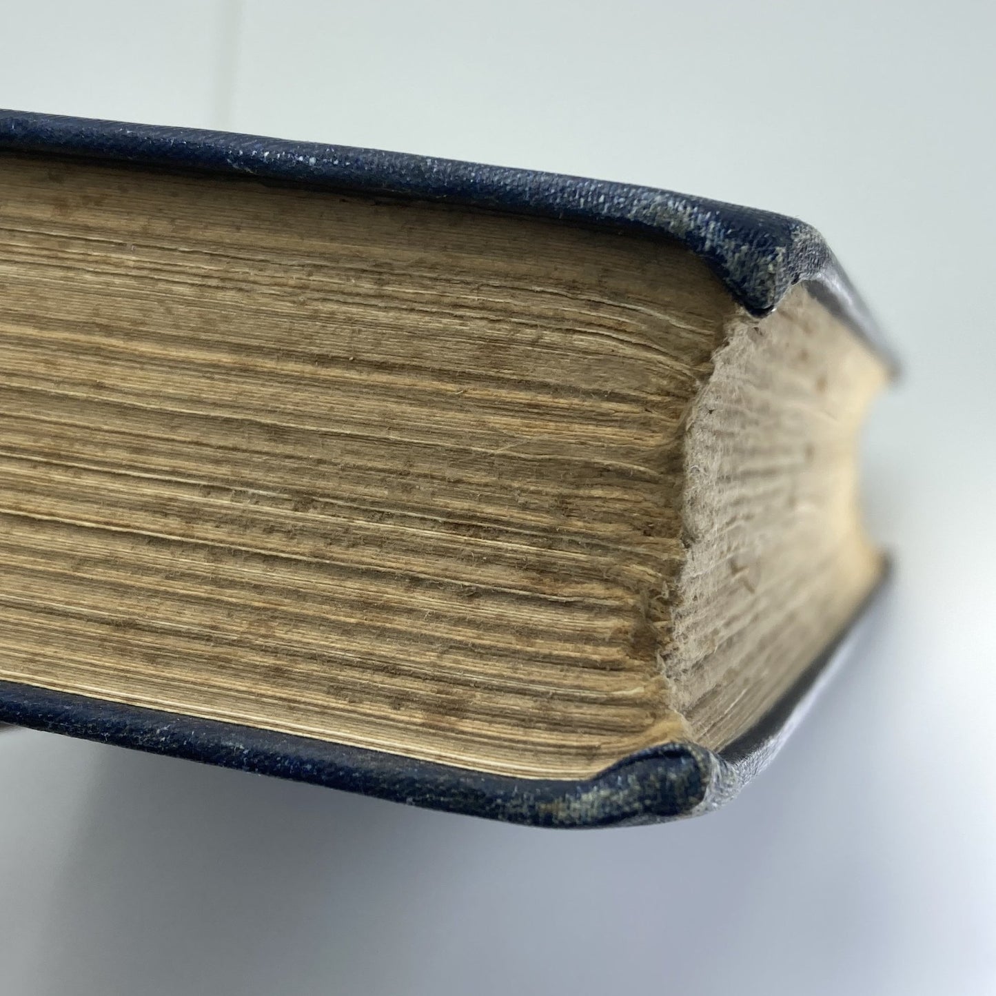 26206b14-0441-471b-bf15-ae8e7c0db2b9