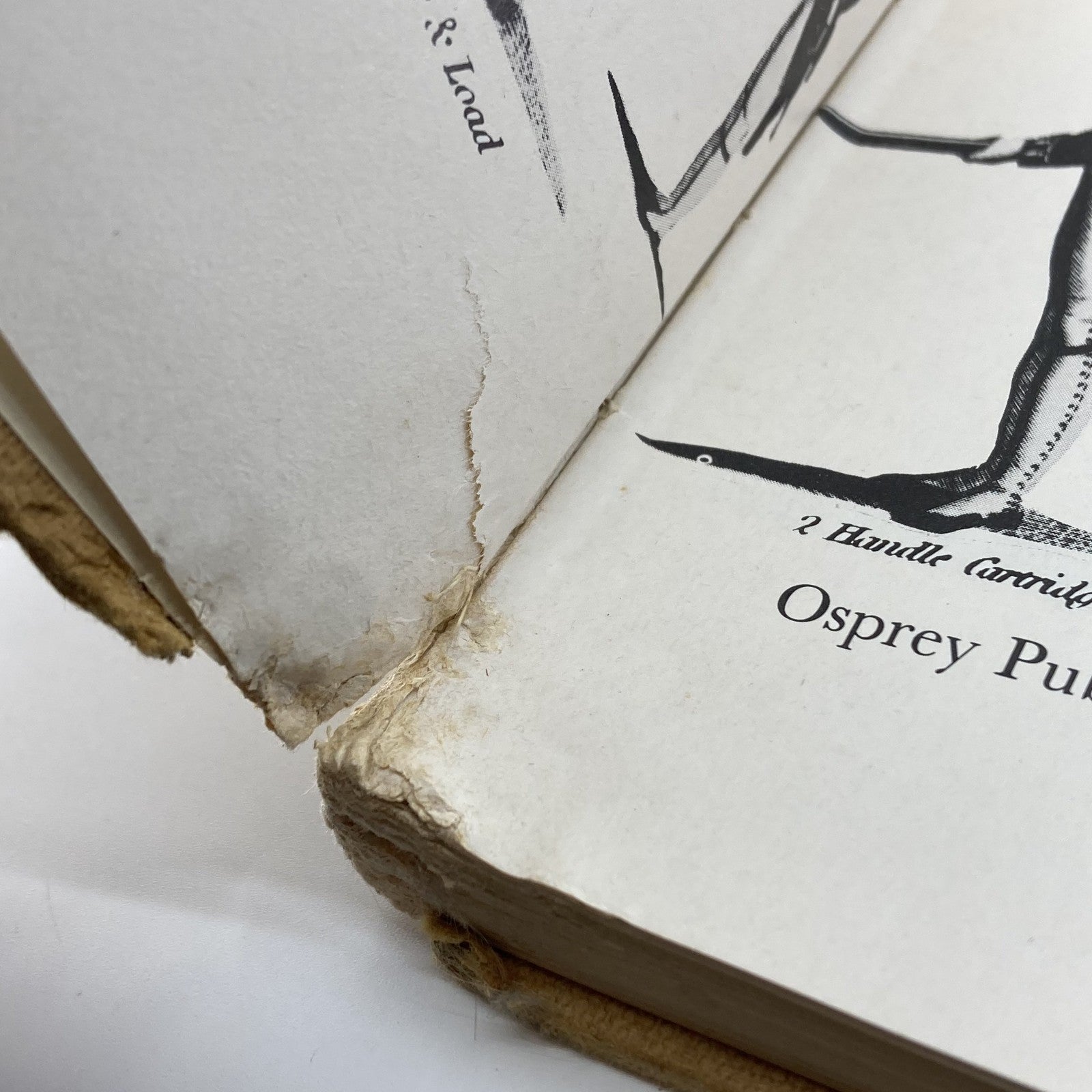 26ee7e43-6dc2-404a-8d52-5e34889f72e5