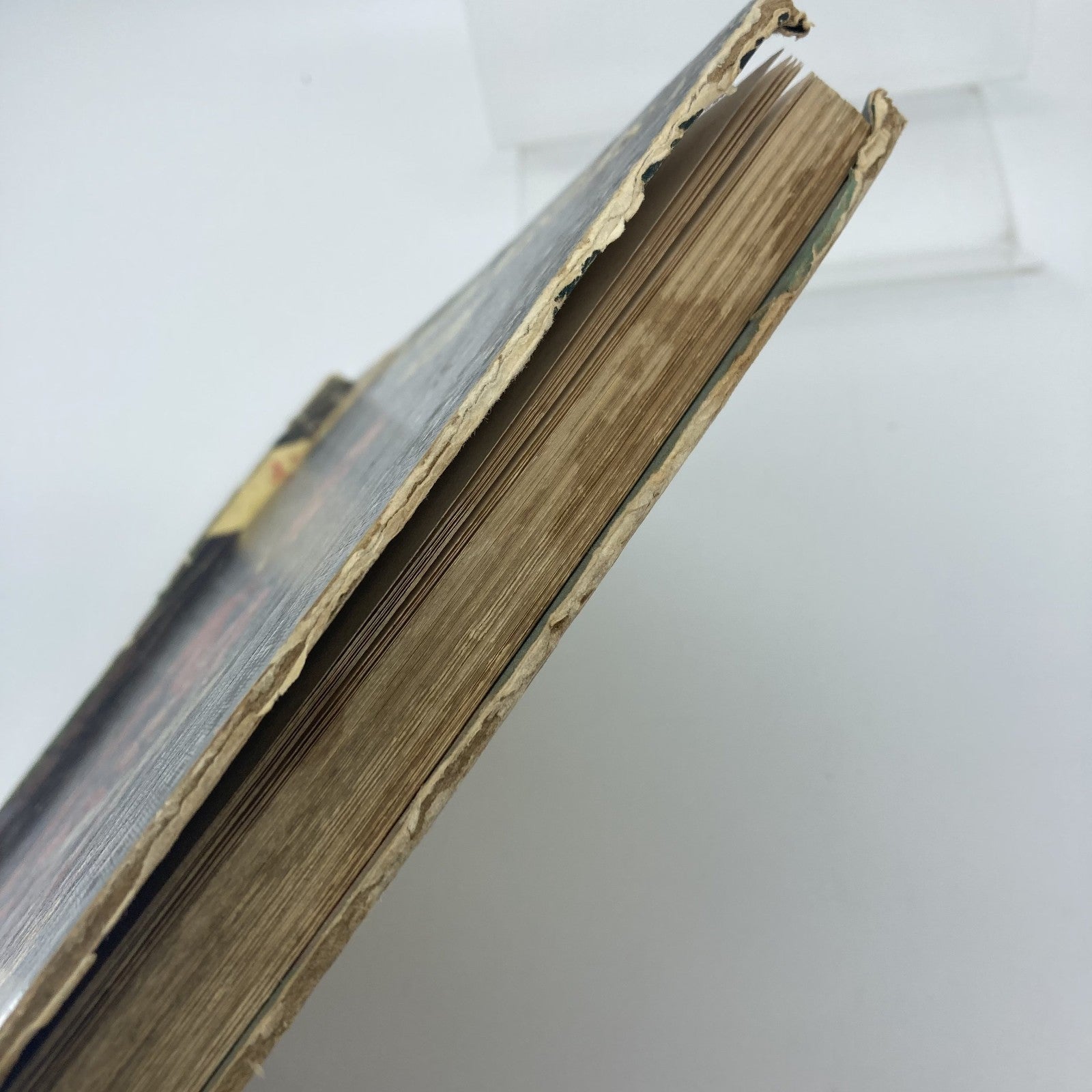 27bfa6f5-fa7d-4b08-b993-2ecf49410dd8