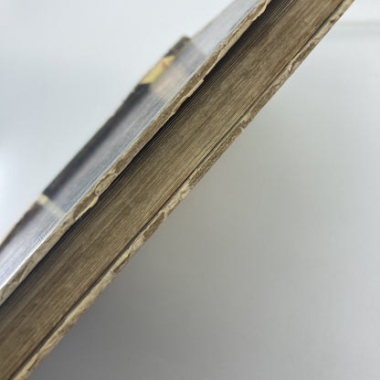 27db6ec1-0c33-4e3b-9404-f37605773fad