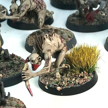 Crypt Ghast Courtier Flesh-eater Courts - Warhammer Age of Sigmar C1902