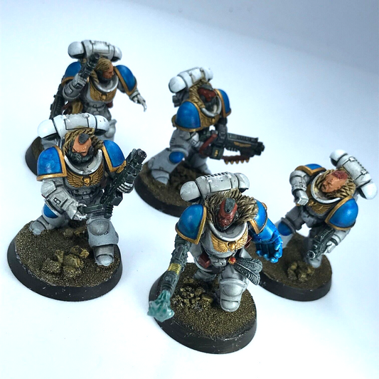 Primaris Intercessors Space Wolves Space Marines - Painted - Warhammer 40K C3133