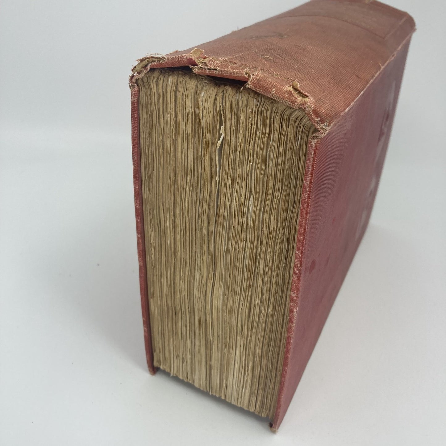 29512969-2fc9-46a2-b3d8-713a6484196b