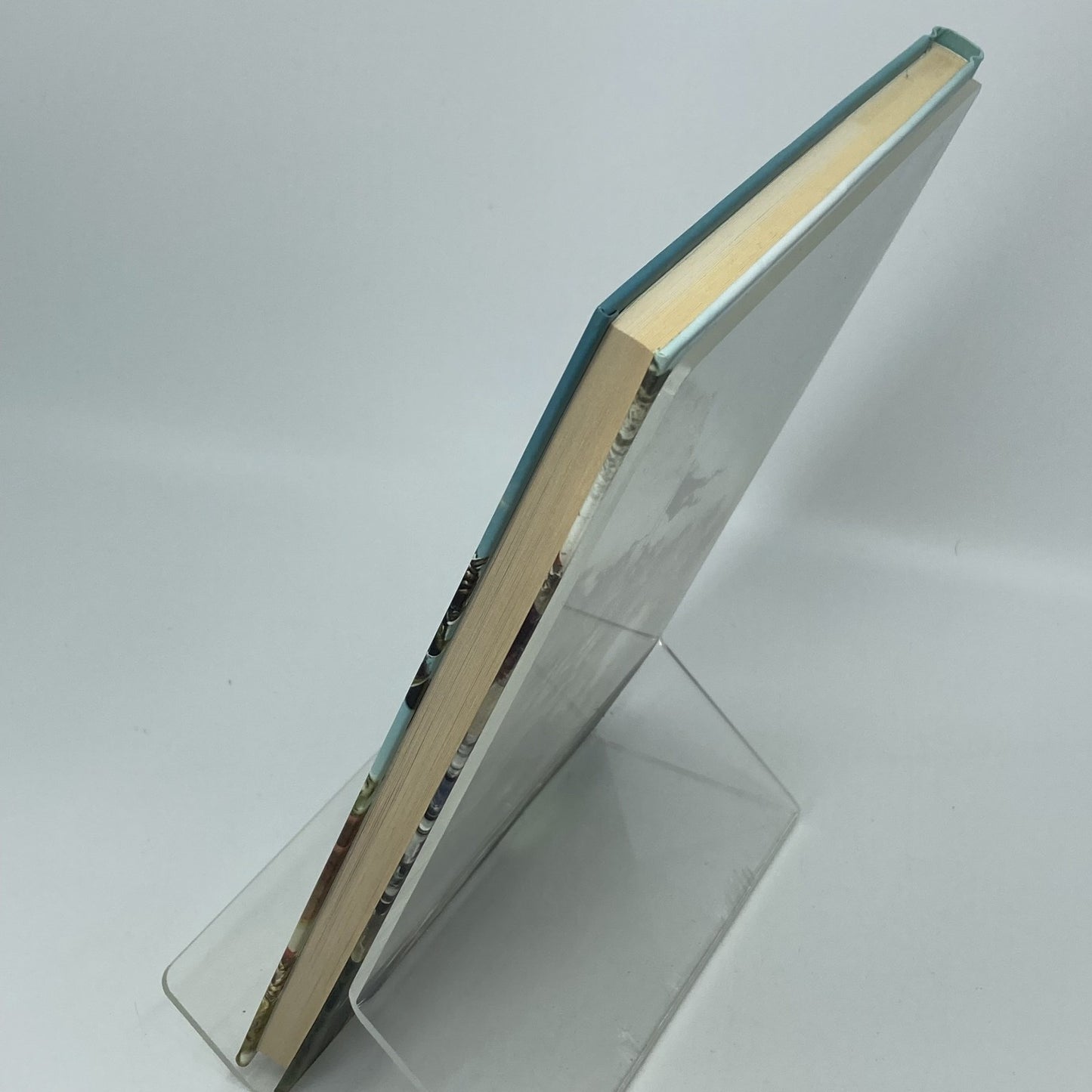 295ddb09-0042-485e-94cc-3c4de24ab1f3