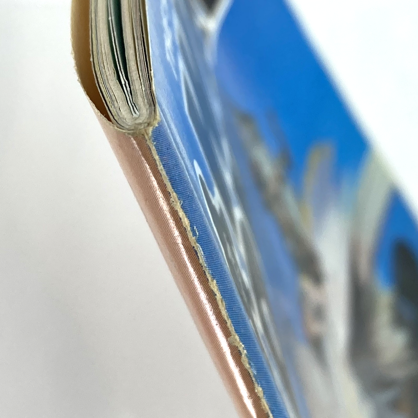 298253f1-0705-4ee4-a7ec-ecc8ed3e96dd