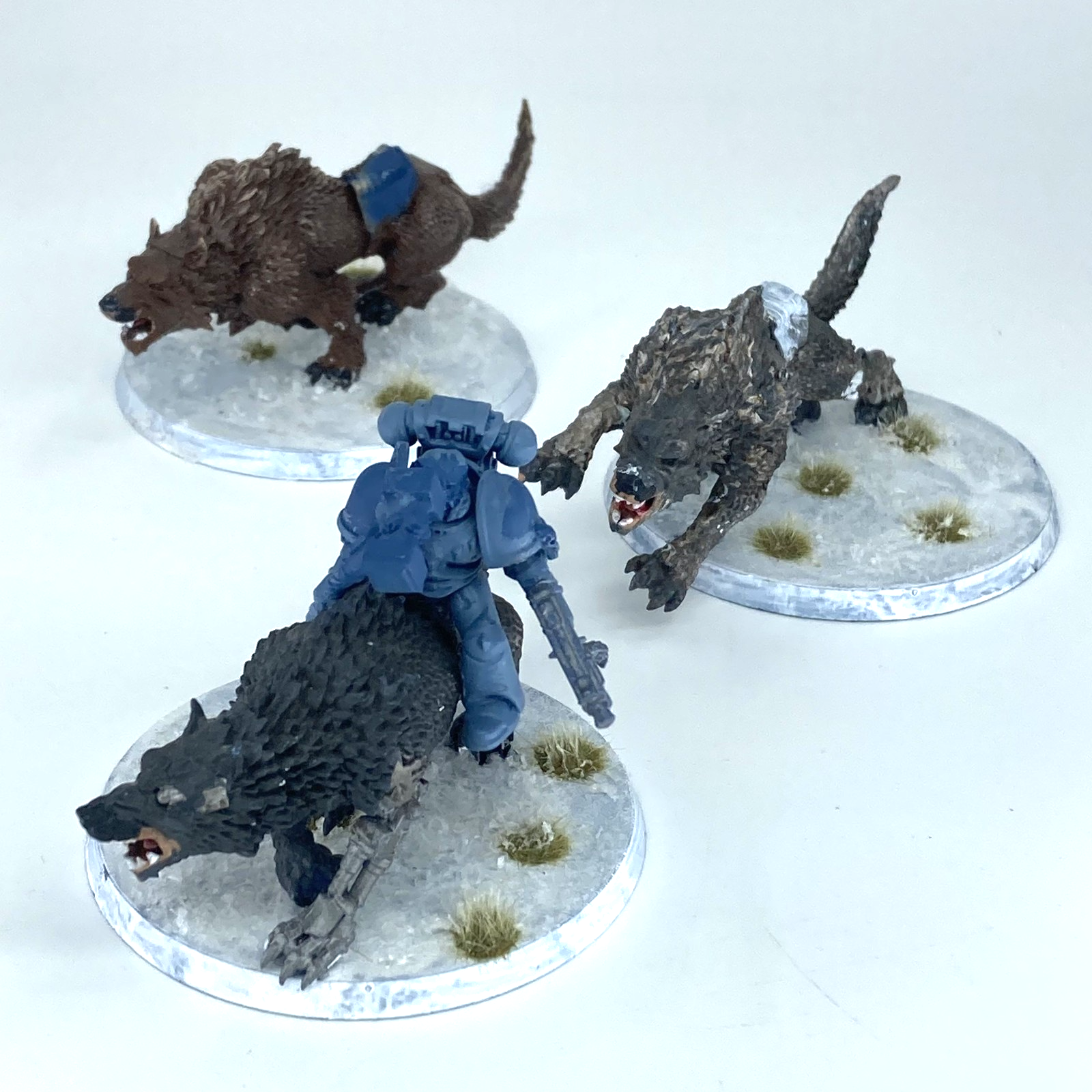 2a2c50ee-c675-4e4e-b44a-74ba1c482496