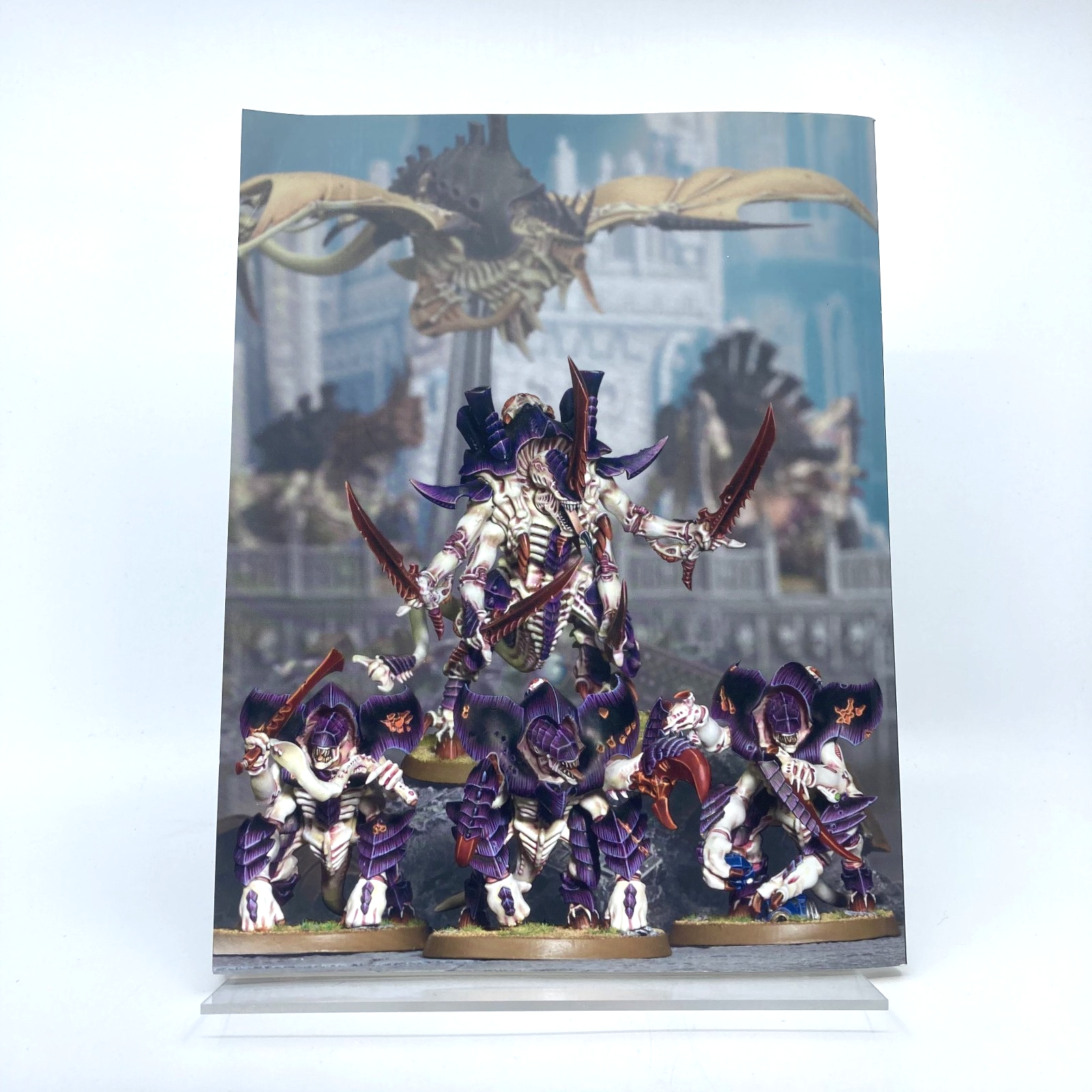 2b2a59f2-c97f-4afe-ae65-070056d557ff