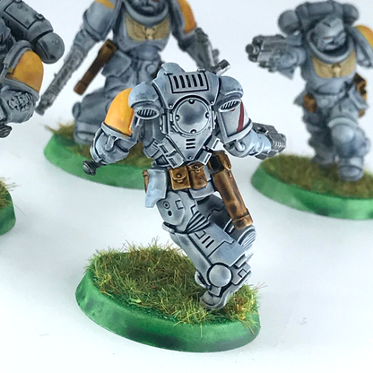 Primaris Assault Intercessors Space Wolves - Warhammer 40K Painted C4847