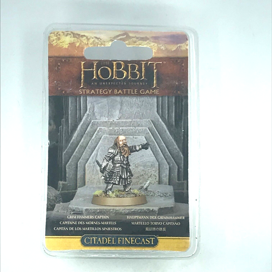 Dwarf Grim Hammerer Captain Blister LOTR - Warhammer / Lord of the Rings C2016