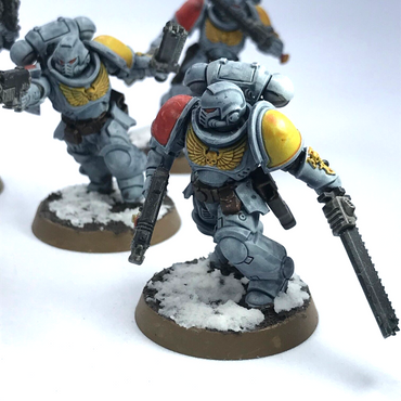 Assault Intercessors Space Wolves Space Marines - Painted - Warhammer 40K C3658