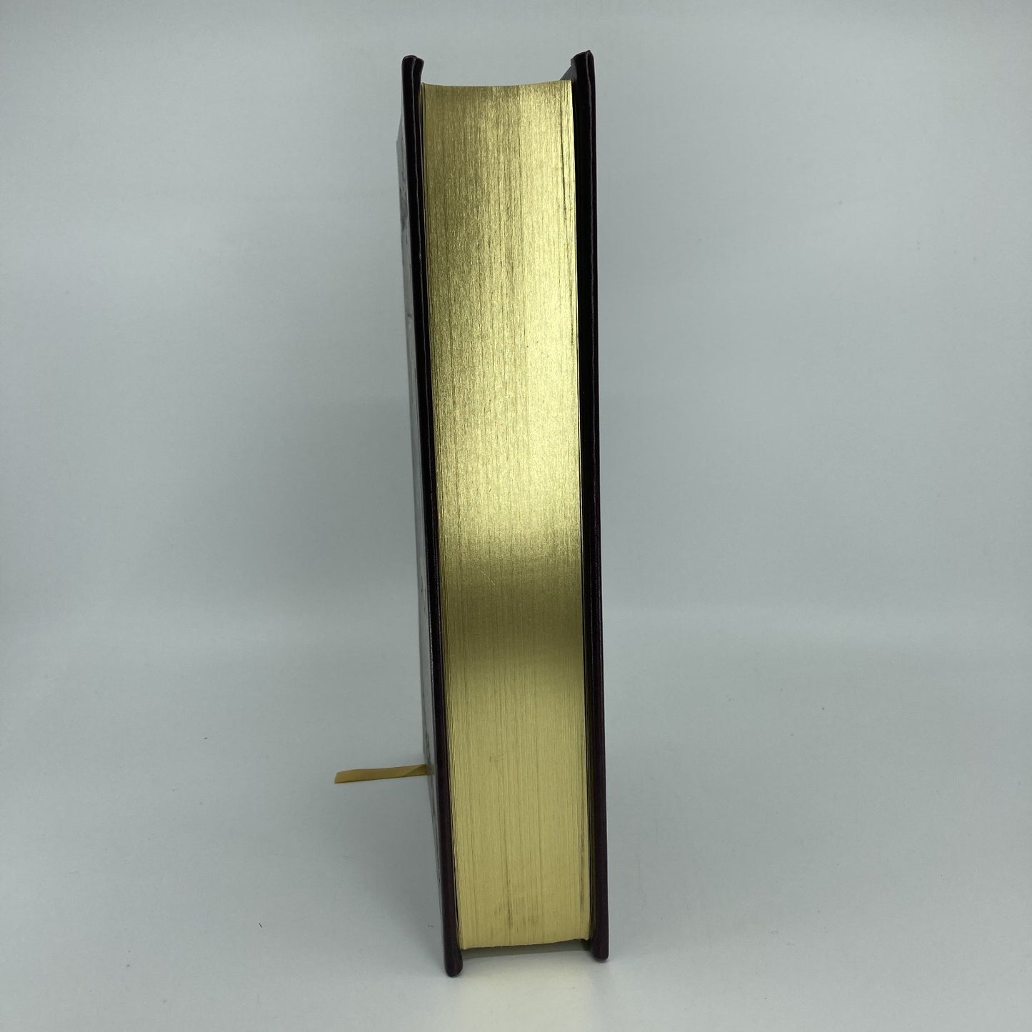 2d3e90de-05d4-4492-a0f1-85ae794d1c97