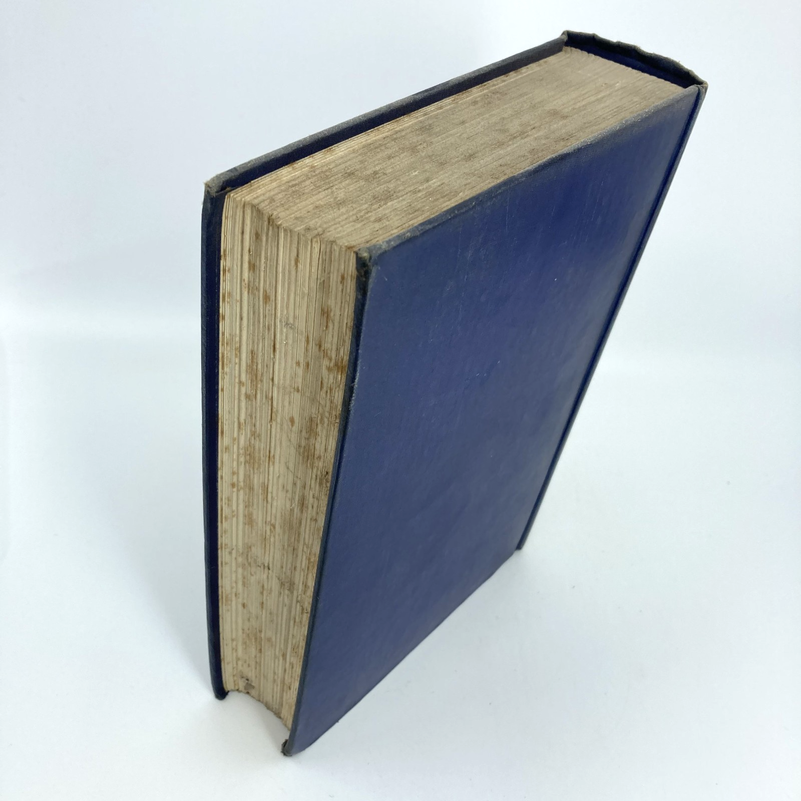 2e764c99-5d35-4fe2-8074-84392f4d7010