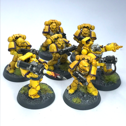 Imperial Fists Tactical Squad Space Marines - Painted - Warhammer 40K C1497