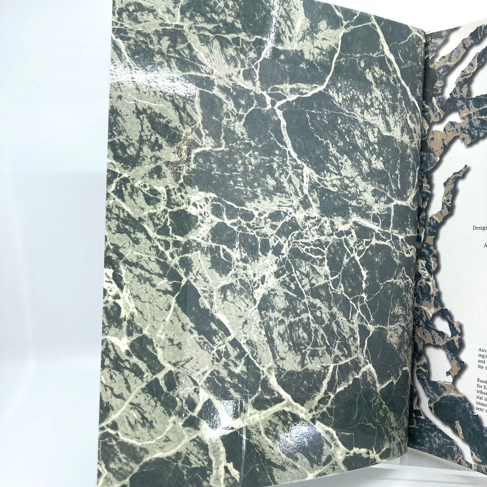 2f47ce49-c582-4365-9305-aed579c29d83