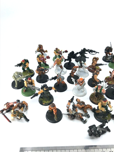 Catachan Infantry Imperial Guard Varying Condition - Warhammer 40K C4363