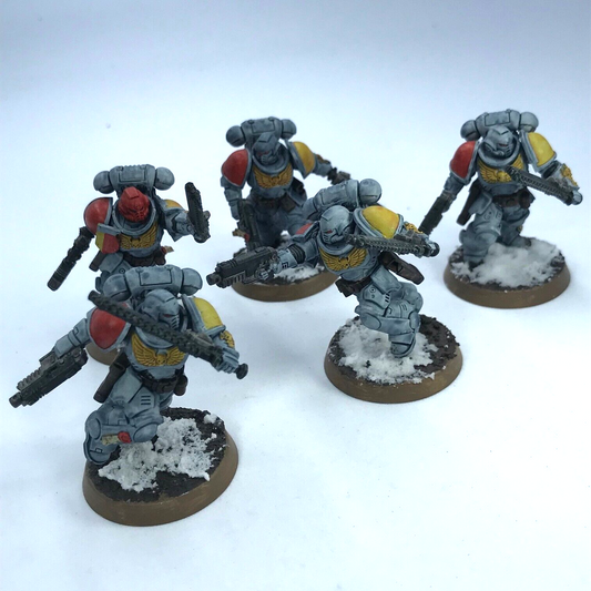 Assault Intercessors Space Wolves Space Marines - Painted - Warhammer 40K C2425