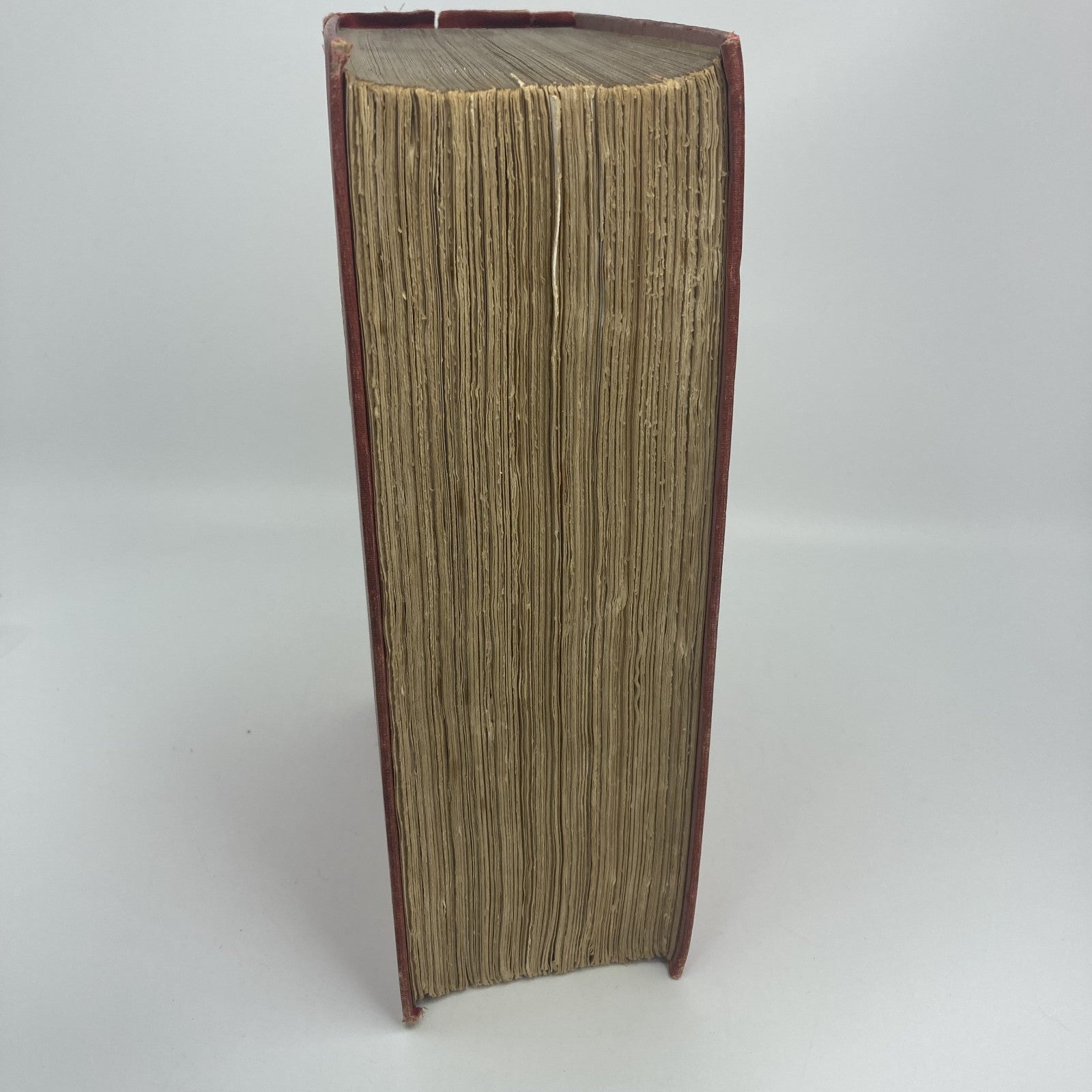 338b22ff-95fe-4889-82b9-0b162967af46