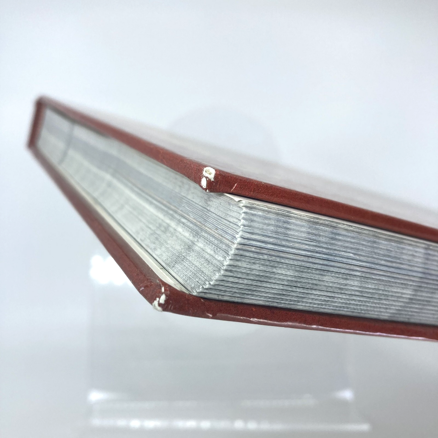 3736f41b-d09f-4a21-82d0-9d55b681595a