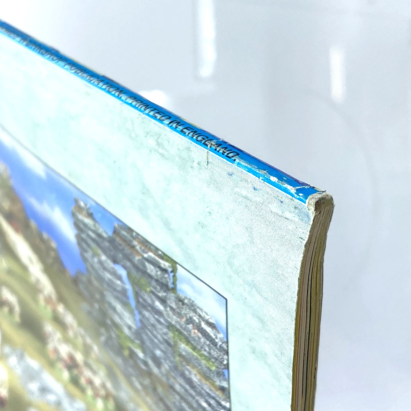 38171987-ad74-47e8-823c-90b7f8bf3ae3