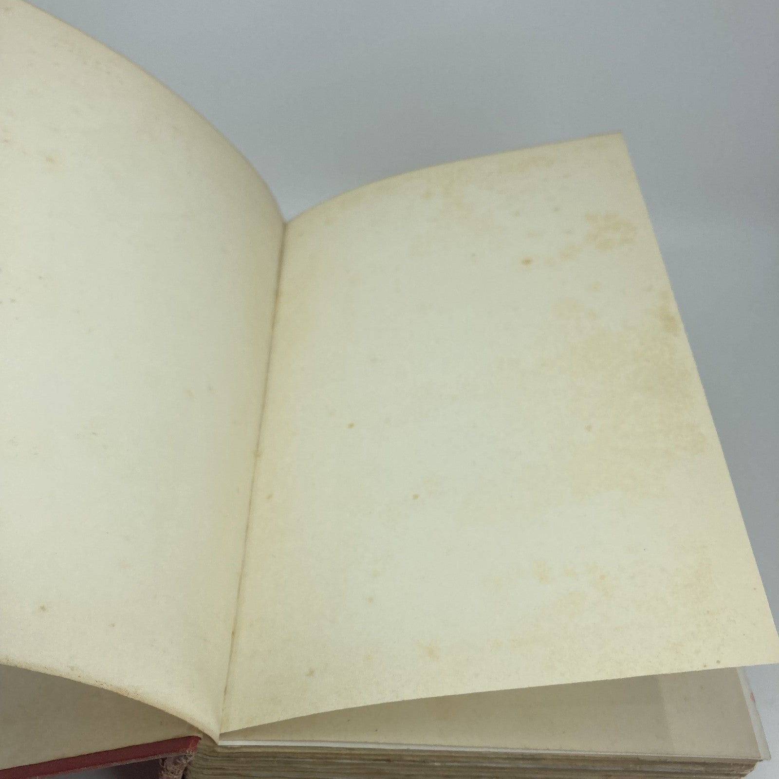 381cd5b6-e869-4981-a80d-e018c67c72d4