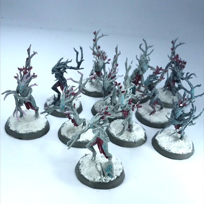 Sylvaneth Dryads Sylvaneth - Painted - Warhammer Age of Sigmar C2040