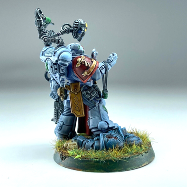 Space Wolves Apothecary - Warhammer 40K Games Workshop Painted X11244