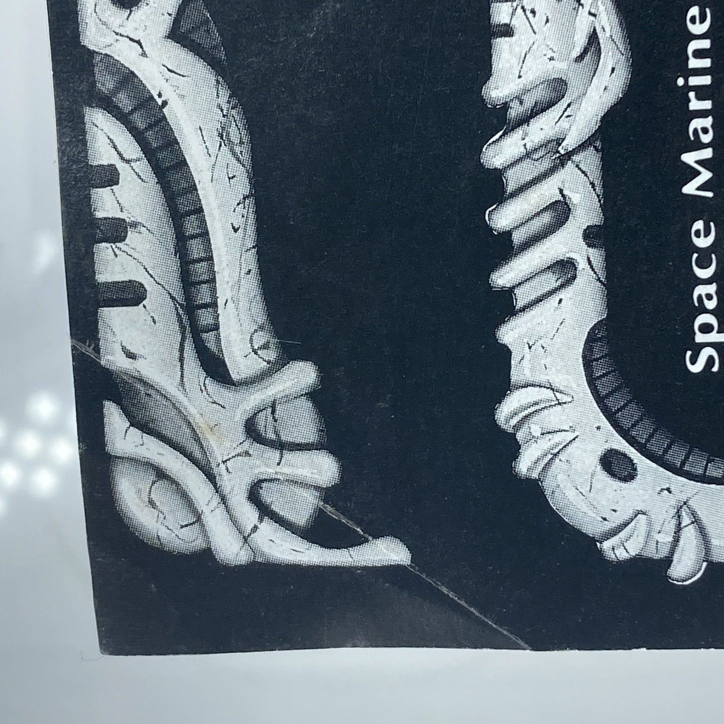 3bd3789c-a72e-47a9-98d6-2beb7553079d