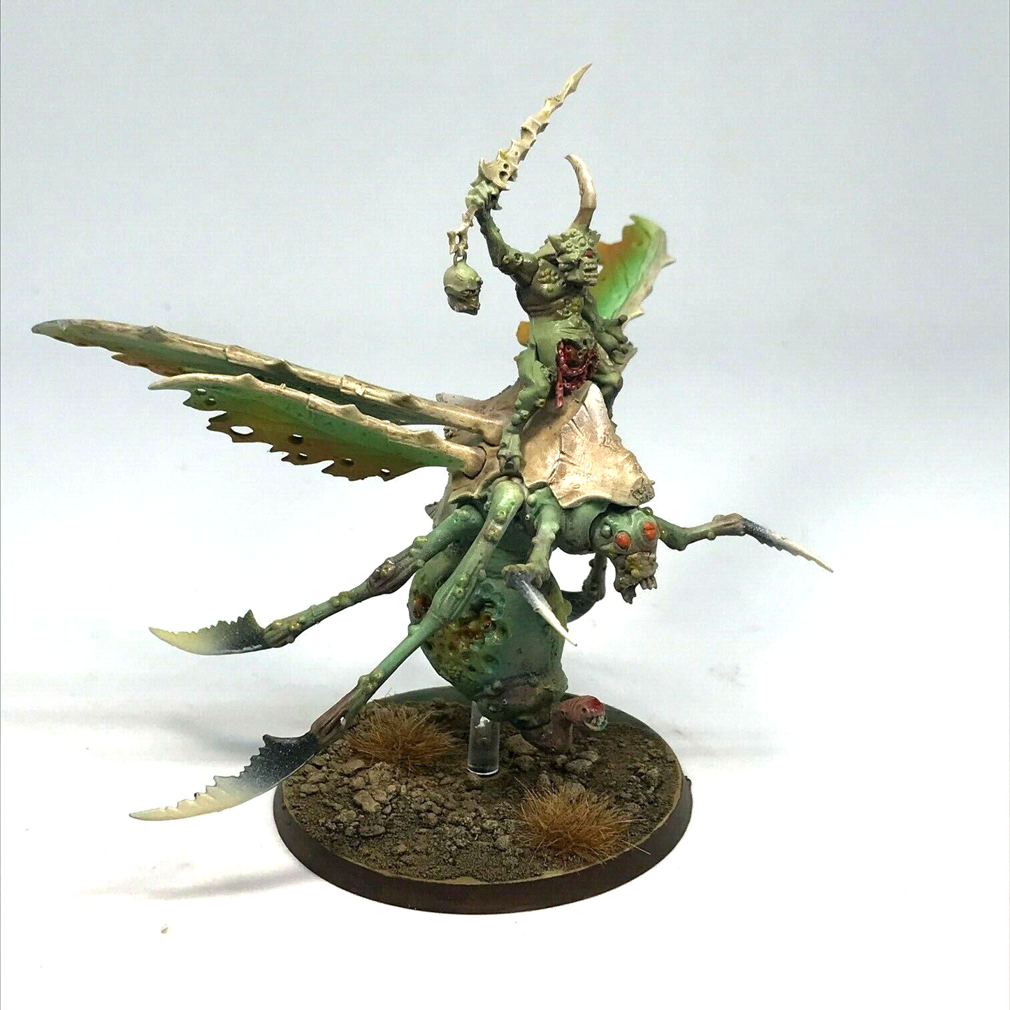 Plague Drone Maggotkin of Nurgle Chaos Warriors - Warhammer Age of Sigmar BOX88