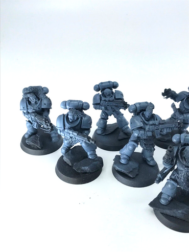 Space Wolves Primaris Intercessors Squad Space Marines - Warhammer 40K C4786