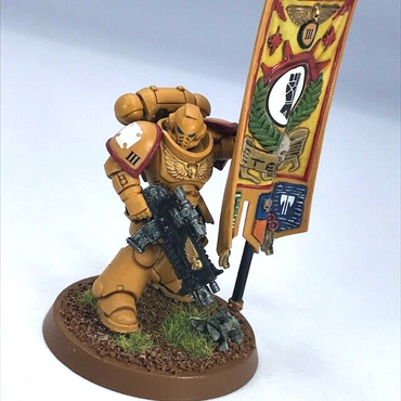 Imperial Fists Primaris Ancient Space Marines - Warhammer 40K Painted C4757