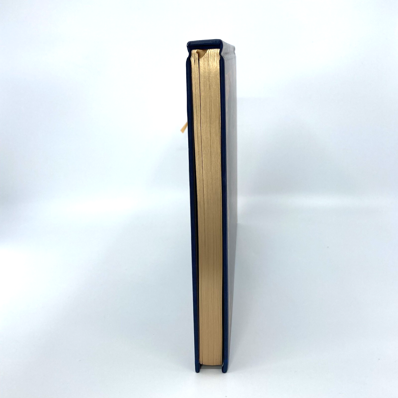 4017987b-3e08-46f1-877e-820403776247