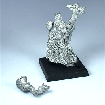 Mordheim Empire White Wolf Teutogen Guard Musician - Warhammer Fantasy X12218